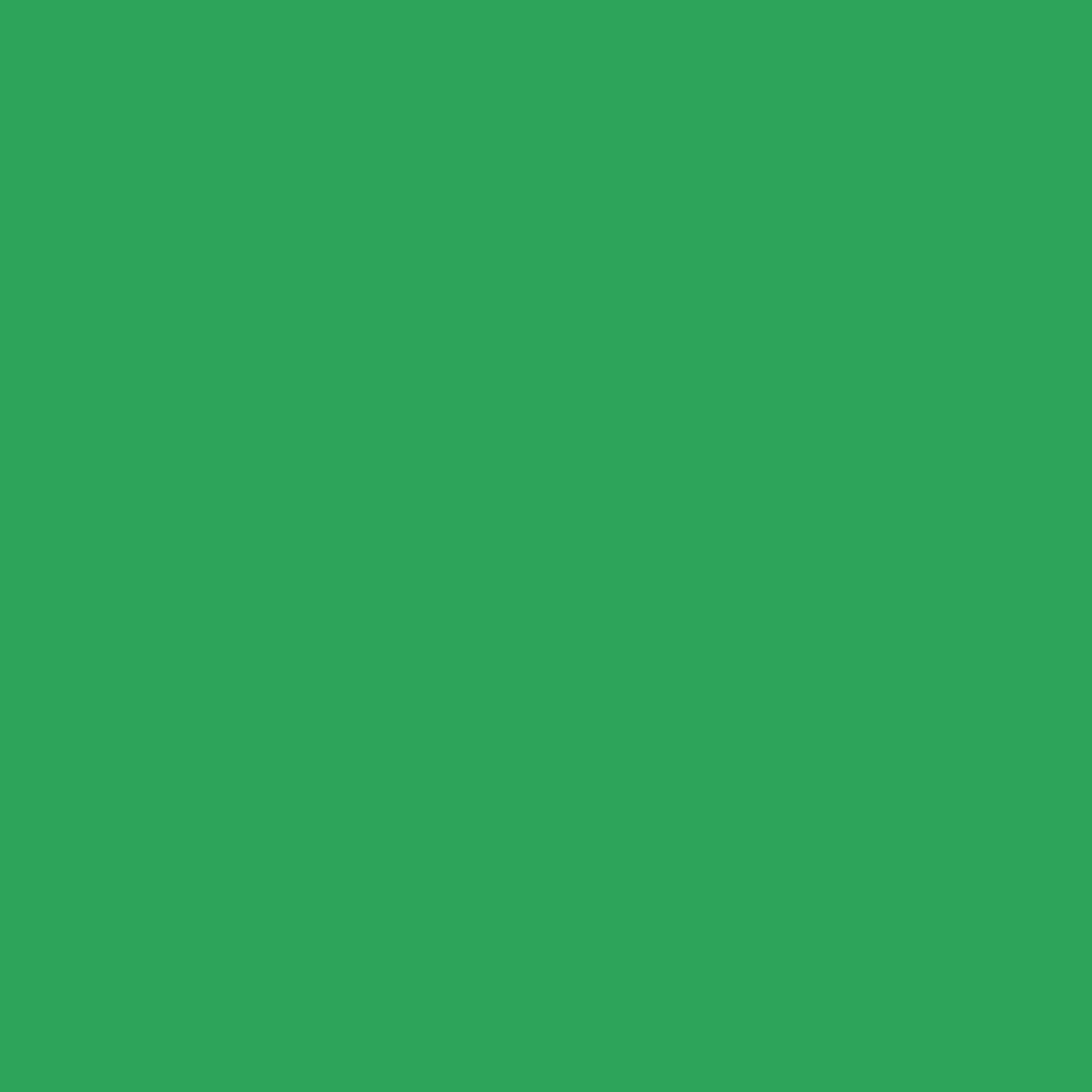 Pongee Polyester Lining Fabric - Kelly Green
